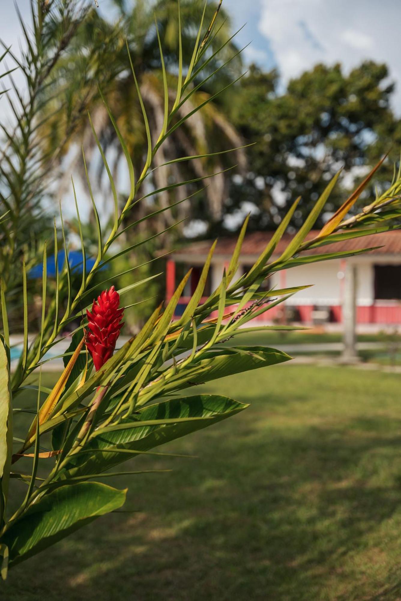 Finca Hotel Puerto Espejo Extérieur photo